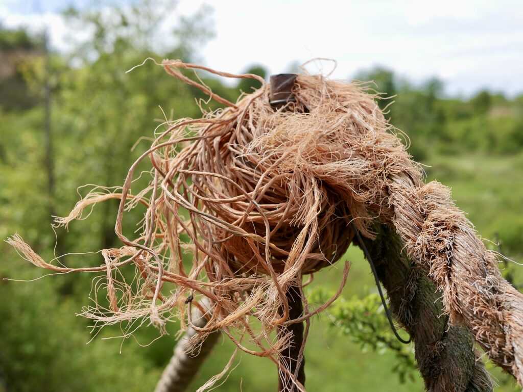 dew, rope, node, knitting