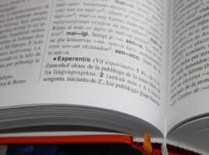 mnbvcxzlkjhgfdsapoiuytrewq definition dictionary
