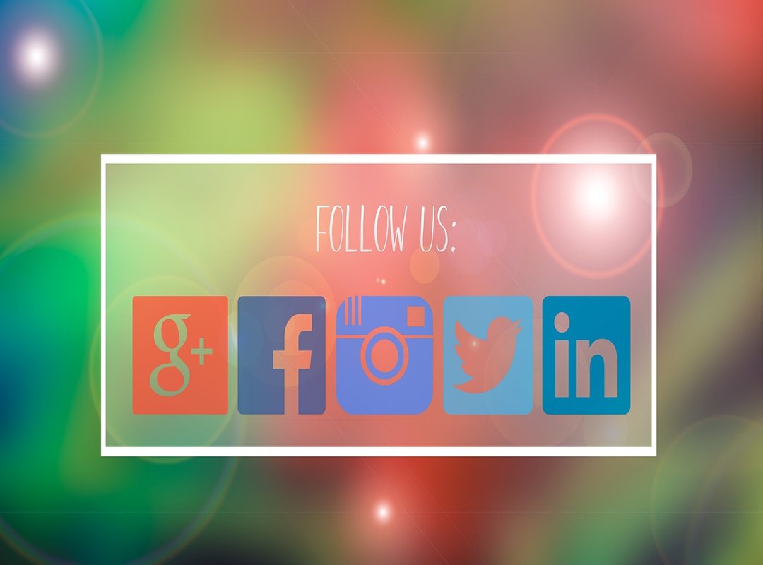 Where to Find and Follow Linaliciouss Online
